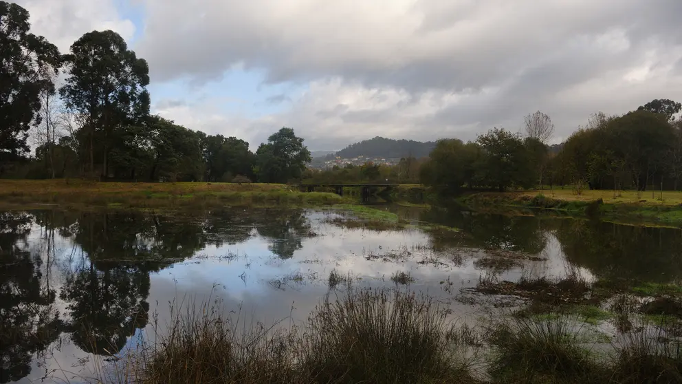 Xunqueira da G&aacute;ndara