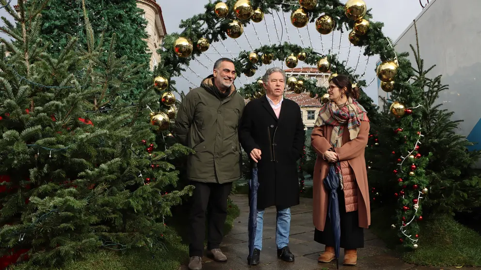 Visita decoraci&oacute;n Nadal na Ferrar&iacute;a