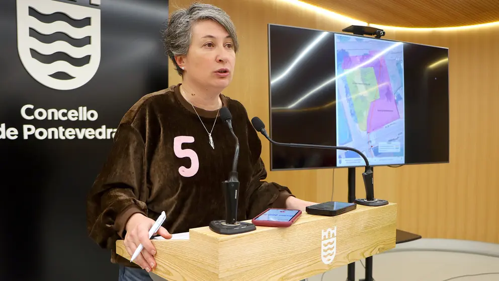 Eva Vilaverde-soluci&oacute;n aos asolagamentos na r&uacute;a do Santo