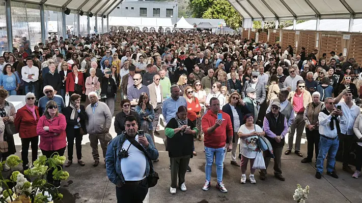 festa da ostra