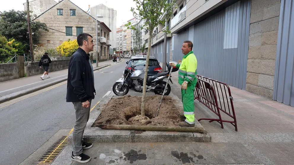 Plantacion de arborado en Pintor Laxeiro