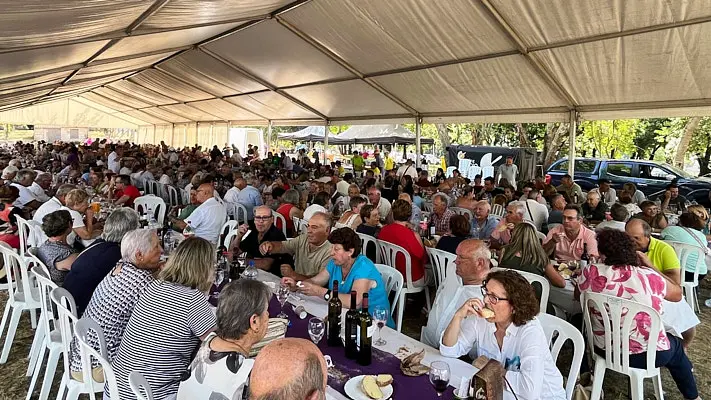 Festa do Vi&ntilde;o 2026