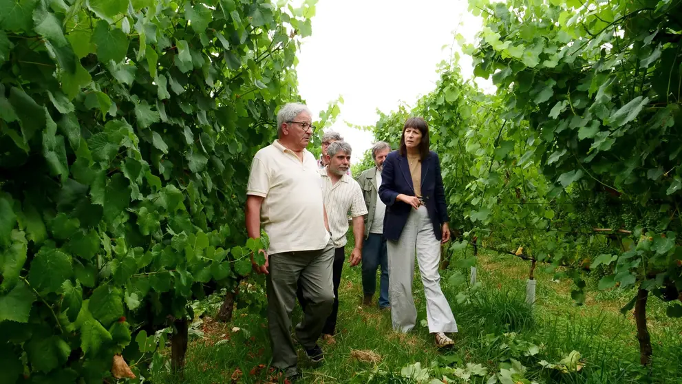 VISITA &Aacute; BODEGA CASTELLUM AUGUSTI