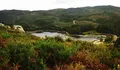 Pontevedra ordena o seu monte