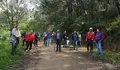 O BNG aposta por un xiro de raíz nas políticas do monte e promete “menos eucalipto e máis bosque multifuncional”