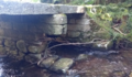 O BNG urxe á restauración da ponte de Portamuíños (Cerdedo) para evitar o seu colapso