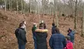 Barro pon en valor o monte dos Casás