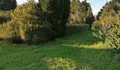 O Concello de Barro porá en valor toda a contorna do Pazo da Crega para integrala na trama urbana