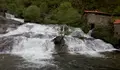 O Concello de Barro adxudica un proxecto para a mellora e conservación do Parque da natureza Ría de Barosa