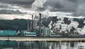 Pontevedra segue a súa folla de ruta e seguirá loitando por unha ría libre de ENCE