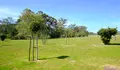 Aberta ao público a nova zona verde na xunqueira da Gándara