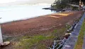 O BNG leva ao Pleno de Poio a recuperación e mellora ambiental da praia de Cabeceira