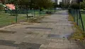 O Concello de Pontevedra saca a licitación o contrato para a redacción do proxecto de execución para a recuperación e restauración ecolóxica do Gafos