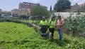 Soutomaior pon en marcha o "Plan Ría Viva" para eliminar os verquidos á ría de Vigo