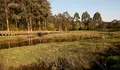 Os roteiros ambientais RedeVerde convidan a descubrir a biodiversidade e os espazos naturais de Pontevedra