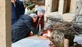 Barro recupera o Tizón de Nadal, unha tradición ancestral