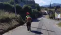O novo contrato de desbroces rurais arranca en Tomeza, Lourizán, Salcedo e Marcón para atender a uns 350 km de vías municipais