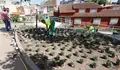 O Concello avanza na mellora dos barrios co axardinamento no Monte do Taco, medidas de seguranza peonil en Benito Corbal e a nova sinalización horizontal en Santa Teresa de Jesús Jornet