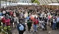 A Festa da Ostra de Arcade bate récords de ventas e de asistencia