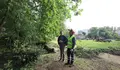 Pontevedra pon a punto a senda do Gafos co saneamento do arborado para garantir un espazo de lecer óptimo de cara ao verán