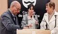 Nenas e nenos saharauís chegarán un verán máis a Pontevedra desde os campamentos de Tindouf (Arxelia) para gozar dunhas Vacacións en Paz