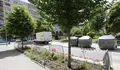 O Concello de Pontevedra culmina a remodelación do parque de Amalia Álvarez coa plantación da nova xardinería