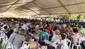 A XLVII Festa do Viño de Barro bate todos os récords de participación e consolídase como a edición máis multitudinaria da súa historia