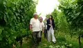 O BNG de Valga visita Serrerías Rodríguez e a adega Castellum Augusti para coñecer de primeira man o seu traballo