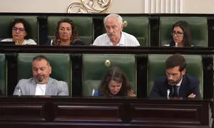 Pleno Deputaci&oacute;n