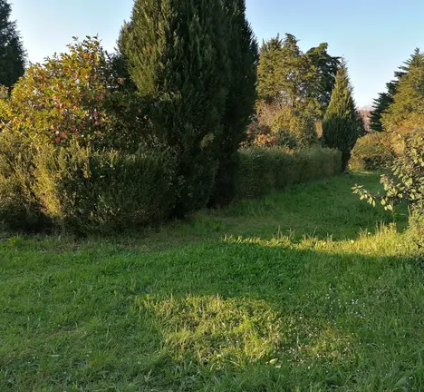 Contorna do Pazo da Crega