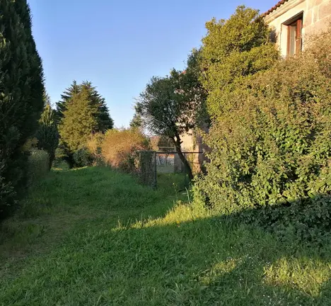 pazo8