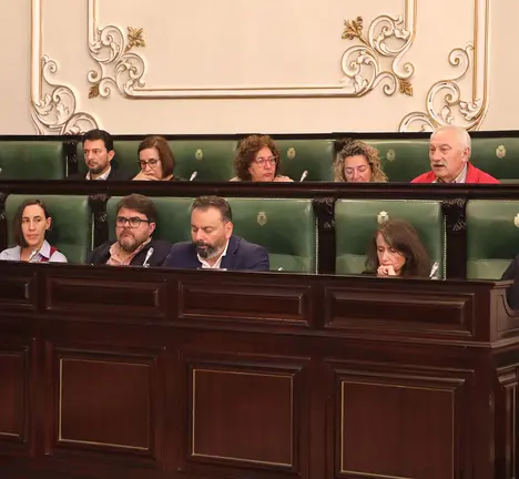 Pleno da Deputaci&oacute;n