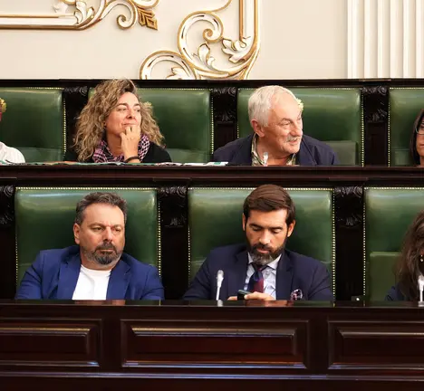 Pleno da deputaci&oacute;n
