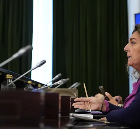 Mar&iacute;a Ortega