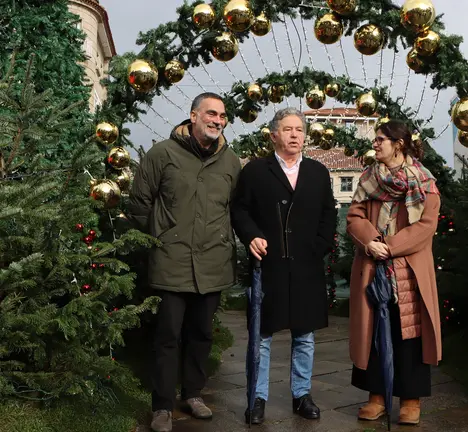 Visita decoraci&oacute;n Nadal na Ferrar&iacute;a