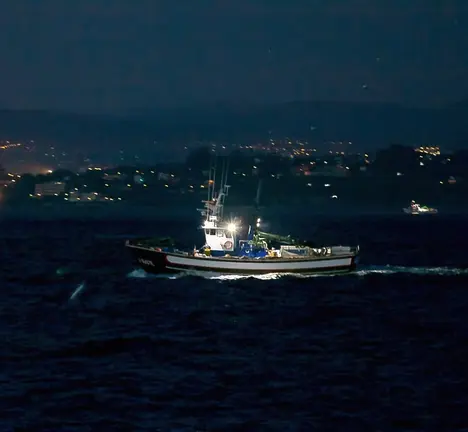 Barco de pesca