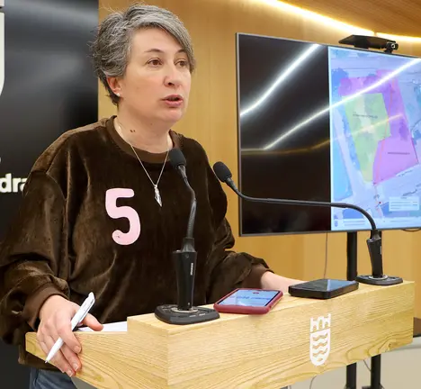 Eva Vilaverde-soluci&oacute;n aos asolagamentos na r&uacute;a do Santo