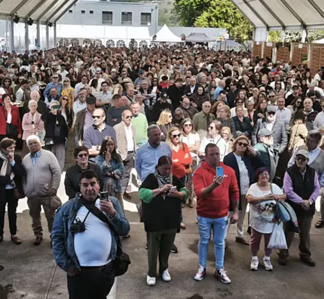 festa da ostra