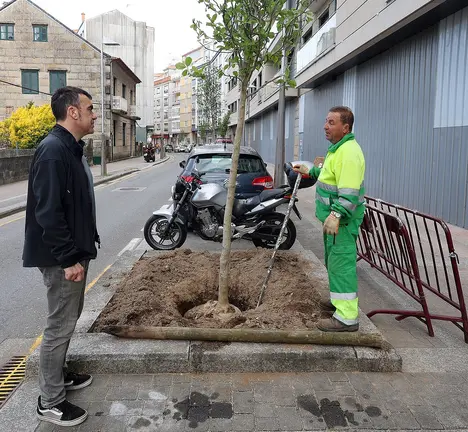 Plantacion de arborado en Pintor Laxeiro