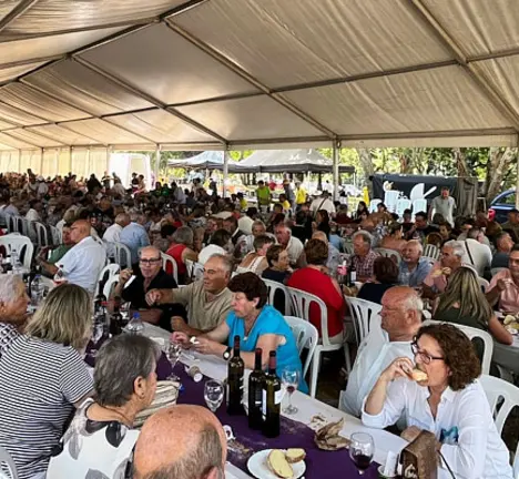 Festa do Vi&ntilde;o 2026