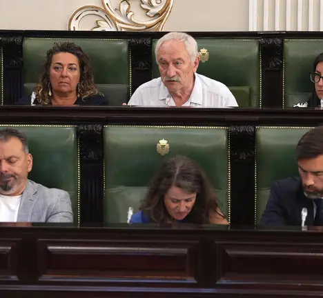 Pleno Deputaci&oacute;n